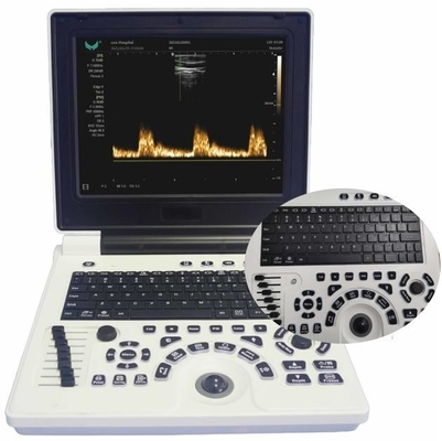 il LCD di 12in visualizza l'attrezzatura veterinaria di ultrasuono per il grande iso di FDA degli animali