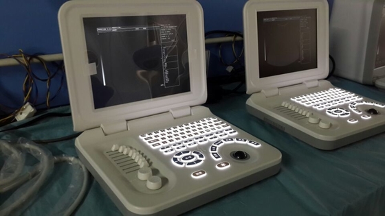 L'ultrasuono veterinario del taccuino lavora la sonda a macchina rettale dell'analizzatore di ultrasuono di Digital