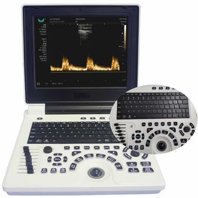 Qualità  12in LCD Display Veterinary Ultrasound Equipment For Large Animals FDA ISO Fabbrica