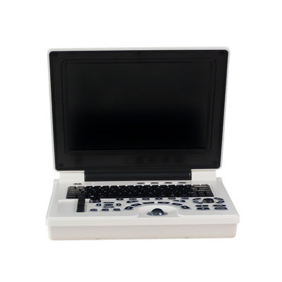 Qualità  Clinic Doppler Portable Veterinary Ultrasound Machine Li Battery For Dog Fabbrica