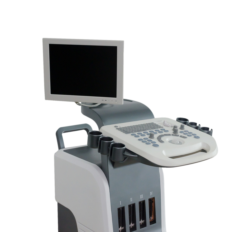 Esposizione di LED del sistema 15in di ultrasuono di doppler di colore di Digital del cellulare di BPW