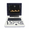 Esposizione LCD a 12 pollici della macchina 64G di SRA Large Animal Veterinary Ultrasound