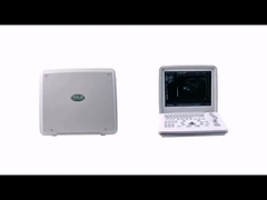 Informazioni sul prodotto XF300