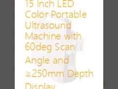 Macchina portatile ad ultrasuoni a colori a LED da 15 pollici con angolo di scansione di 60 gradi e display di profondità ≥ 250 mm