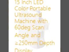 Macchina portatile ad ultrasuoni a colori a LED da 15 pollici con angolo di scansione di 60 gradi e display di profondità ≥ 250 mm
