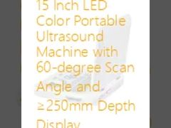 Macchina portatile ad ultrasuoni a colori a LED da 15 pollici con angolo di scansione di 60 gradi e display di profondità ≥ 250 mm