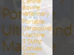 Sonda convessa portatile veterinaria bovina di matrice della macchina 3.5Mhz di ultrasuono del canino di USB